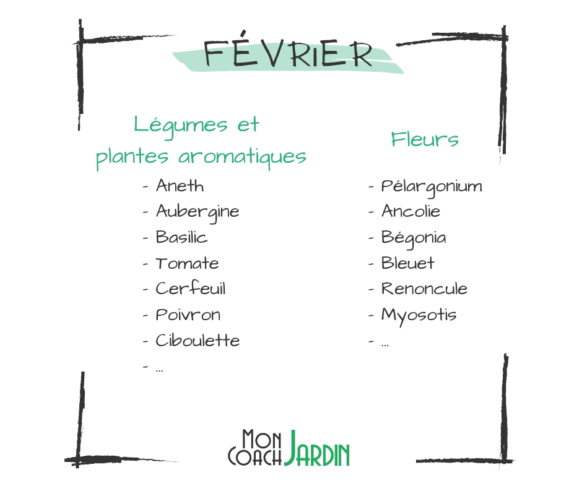 Plantes Aromatiques Planter En F Vrier Mon Coach Jardin