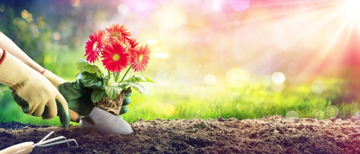 Cours de bricolage à domicile