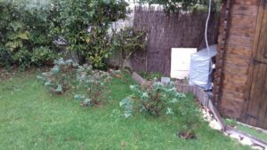 Coaching jardinage Gaby 7