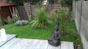 Coaching jardinage Gaby 5