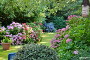 Les 4 saisons du potager