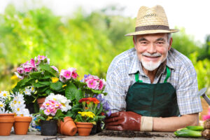 Qu’est ce que le bouturage