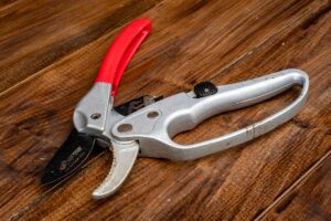 Comment choisir un sécateur