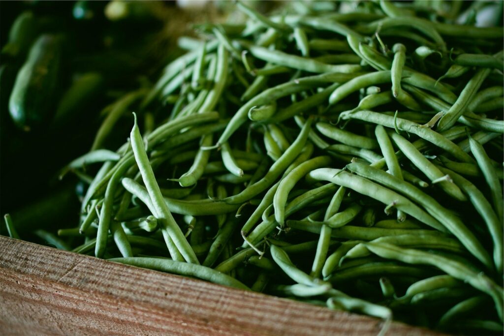 Haricot vert