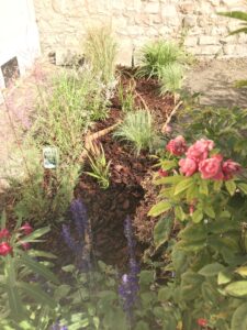 Coaching jardinage Benoit 1