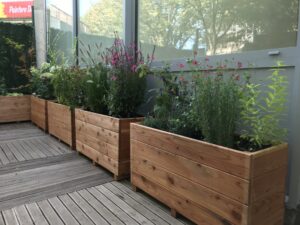 Coaching jardinage Benoit 2