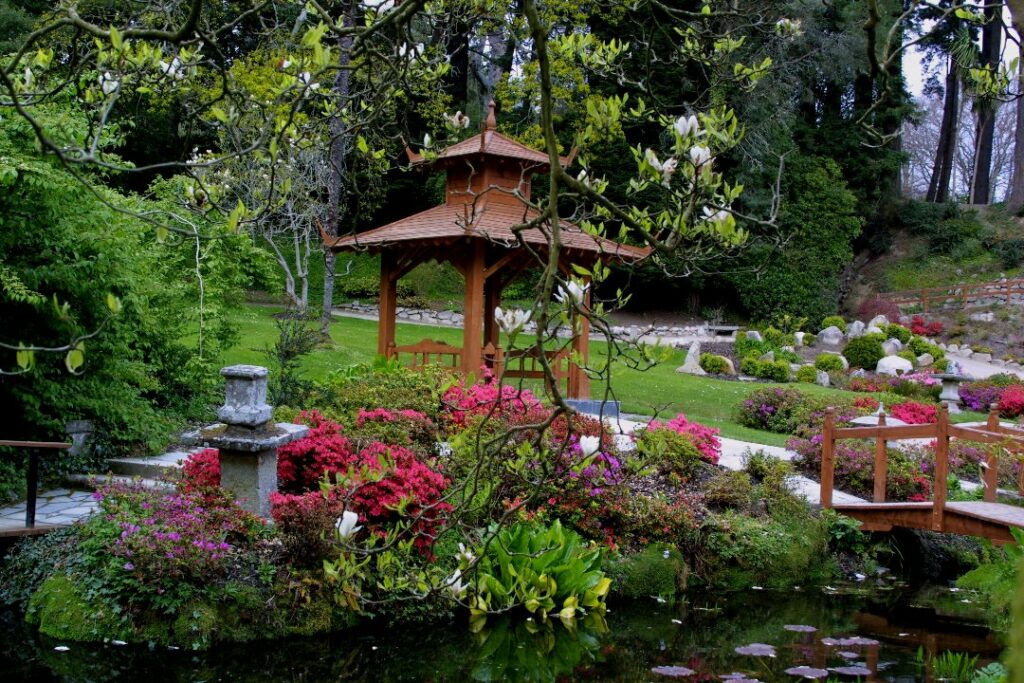 jardin japonais