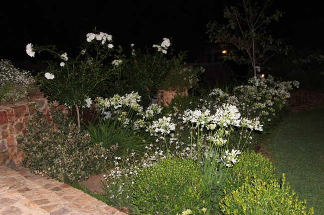 jardiner avec la lune