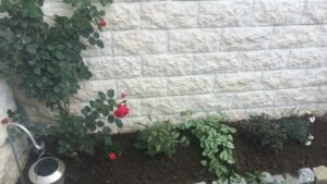 Coaching jardinage Gaby 3