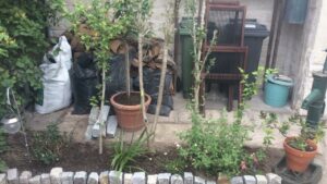 Coaching jardinage Gaby 1