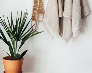 Plantes pour la salle de bain