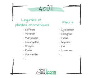 calendrier-jardin-aout