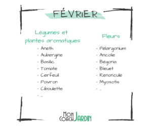 Légumes à planter en février