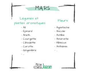 Légumes à planter en mars
