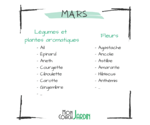 Plantes aromatiques à planter en mars