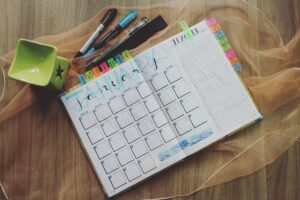 Calendrier du jardinier mois par mois