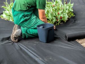 Comment poser une toile de paillage