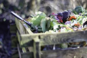 compost fait maison
