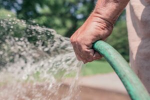 Économiser l’eau au jardin