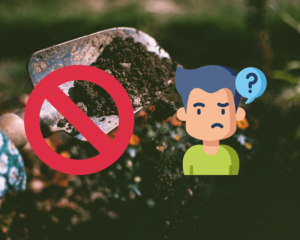 Erreurs à ne pas commettre en jardinage