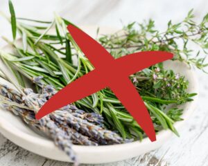 Les erreurs à éviter dans la culture des plantes aromatiques