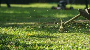 entretenir son jardin