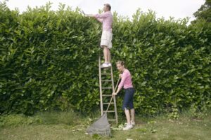 jardinage