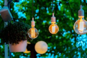 jardin tendance