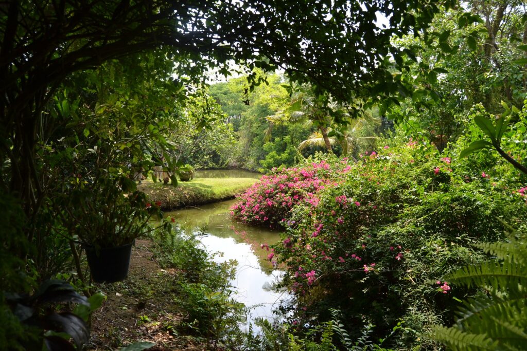 jardin bucolique