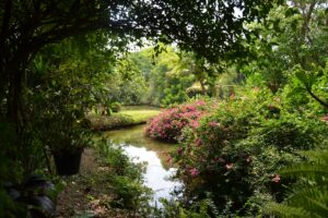 jardin bucolique