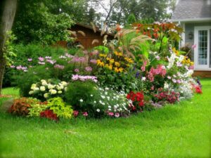 Massif de fleurs
