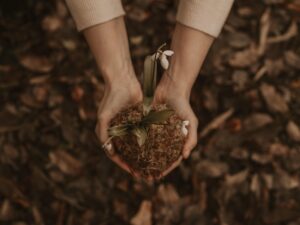Que faire des mauvaises herbes arrachées