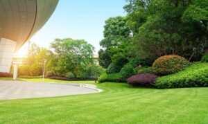 amenagement jardin