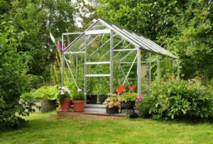 plantations sous serre