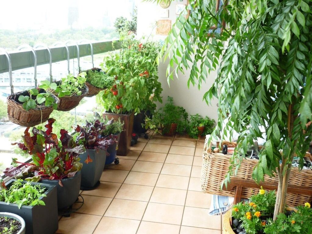 Comment faire un potager sur un balcon