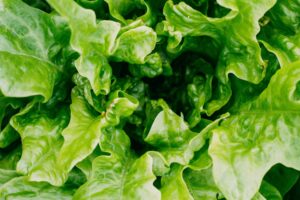 salade