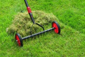 Scarifier le gazon