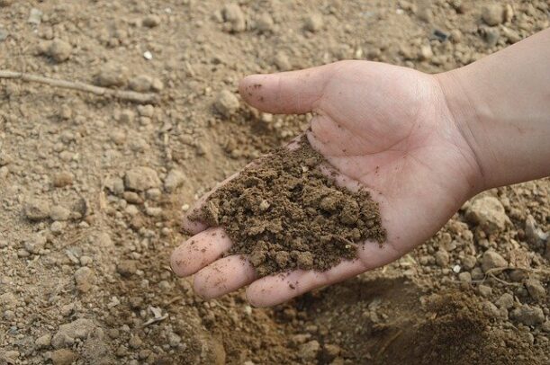 soil-g427bde2b6_640