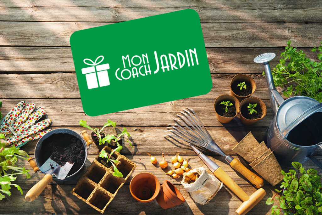 Carte cadeau jardinage
