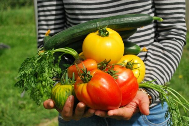 vegetables-742095_1920-1024x685