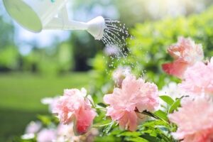 entretien goutte à goutte