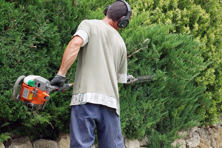 Devis jardiniers