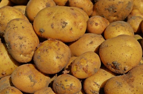 pommes de terre