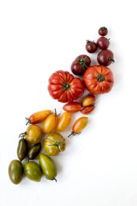tomate