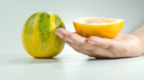 concombre