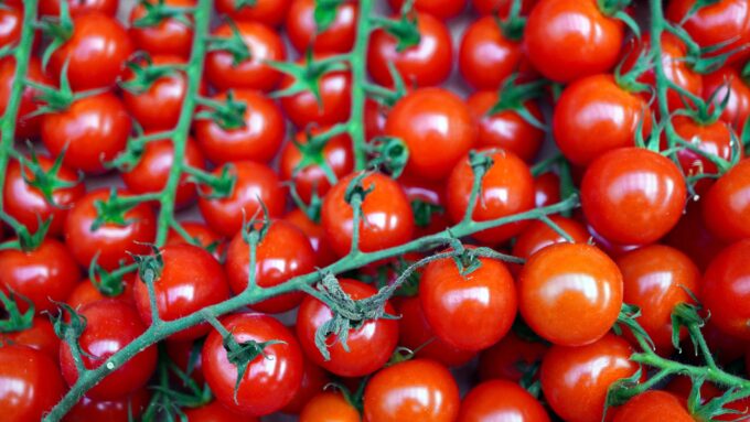 tomate