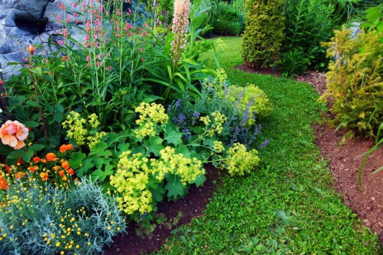 création d'un jardin