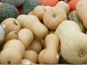 variétés courges