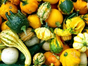 courges comestibles