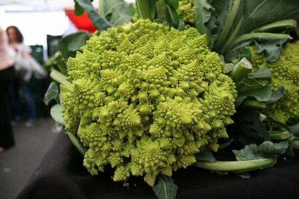 Chou fleur vert